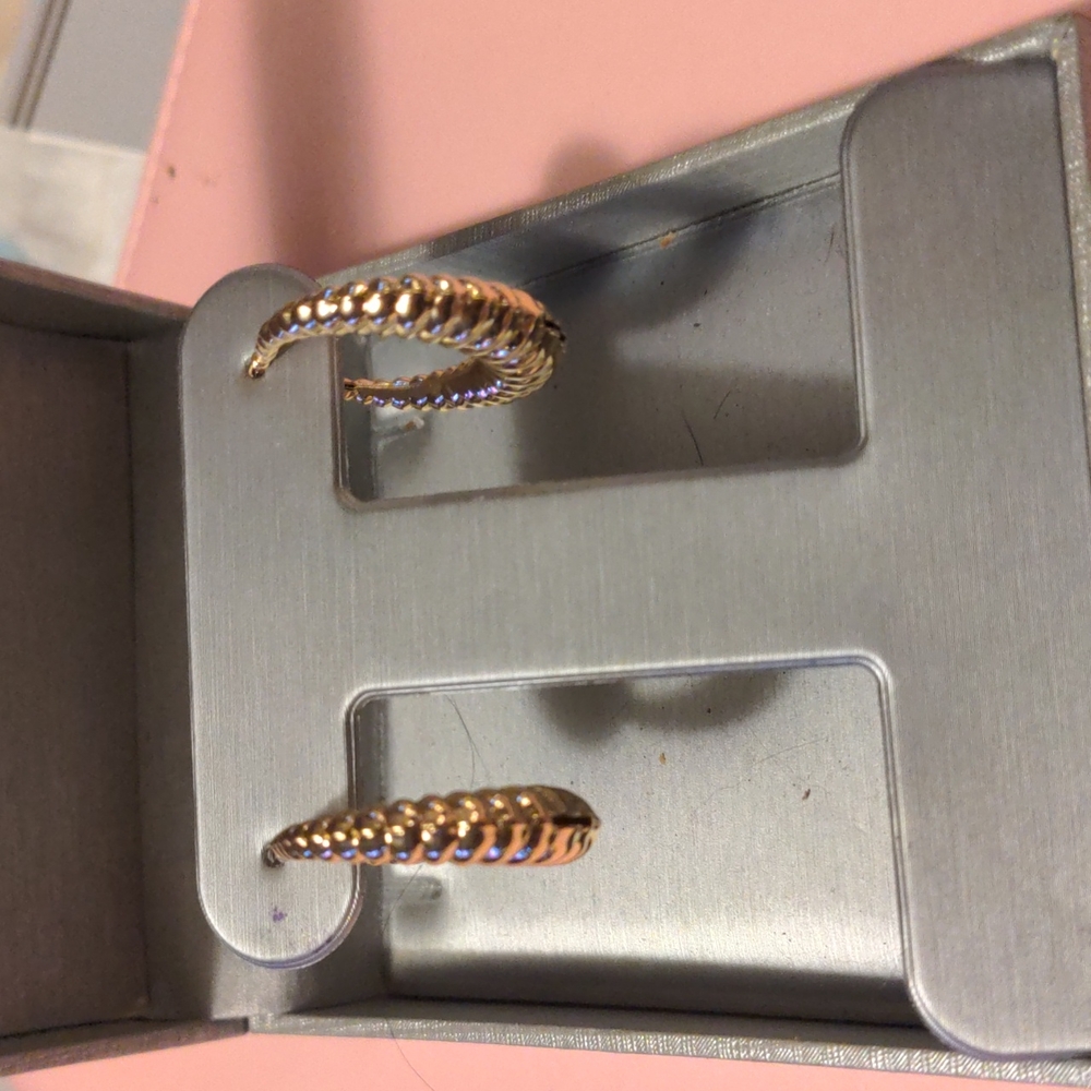 Gold plated hoops earings